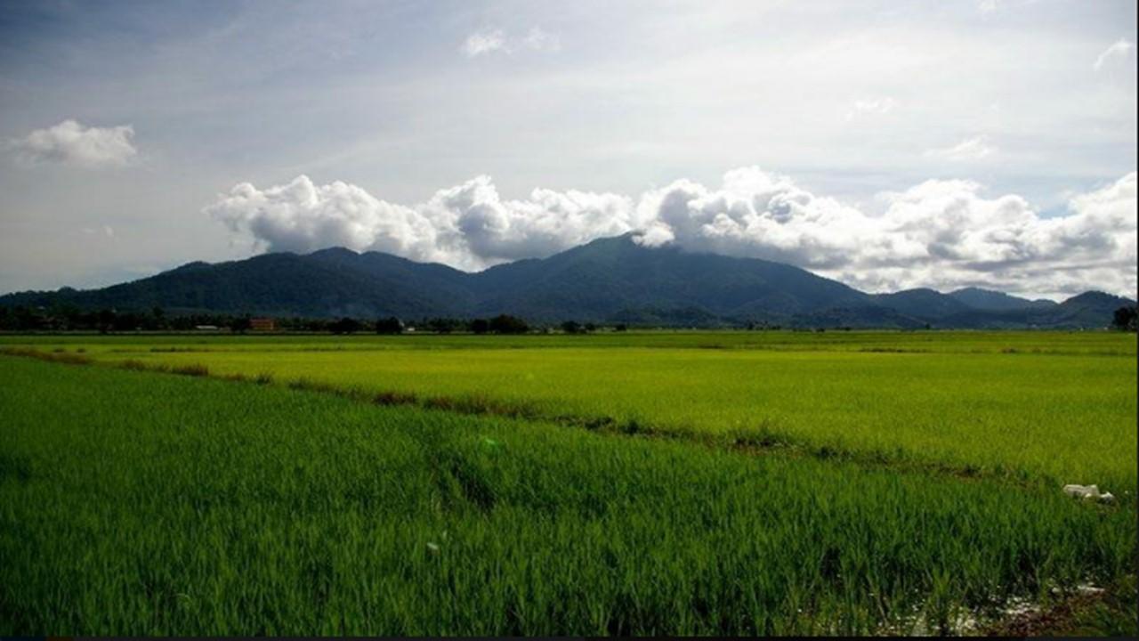 Barakah Homestay アロースター エクステリア 写真